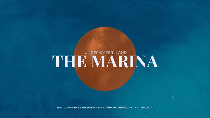 THE MARINA